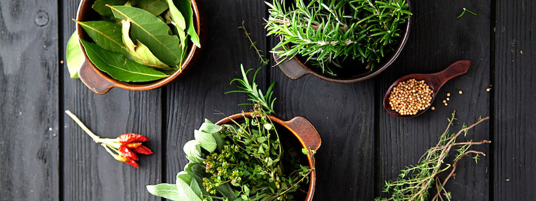 Trattamento detox