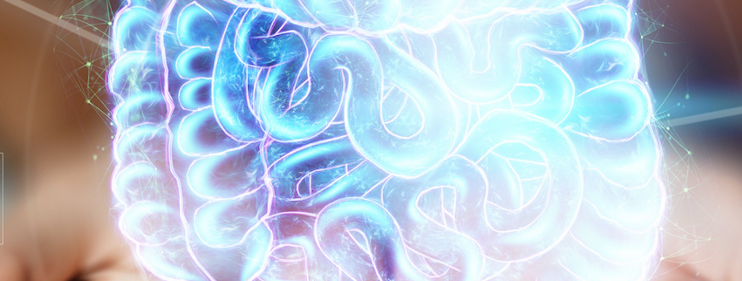 I 3 pilastri dell'integrazione intestinale