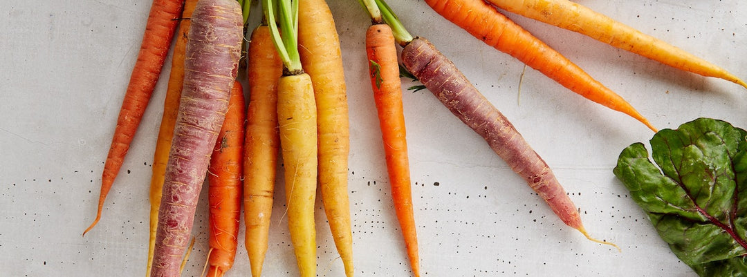 10 consigli per una digestione sana