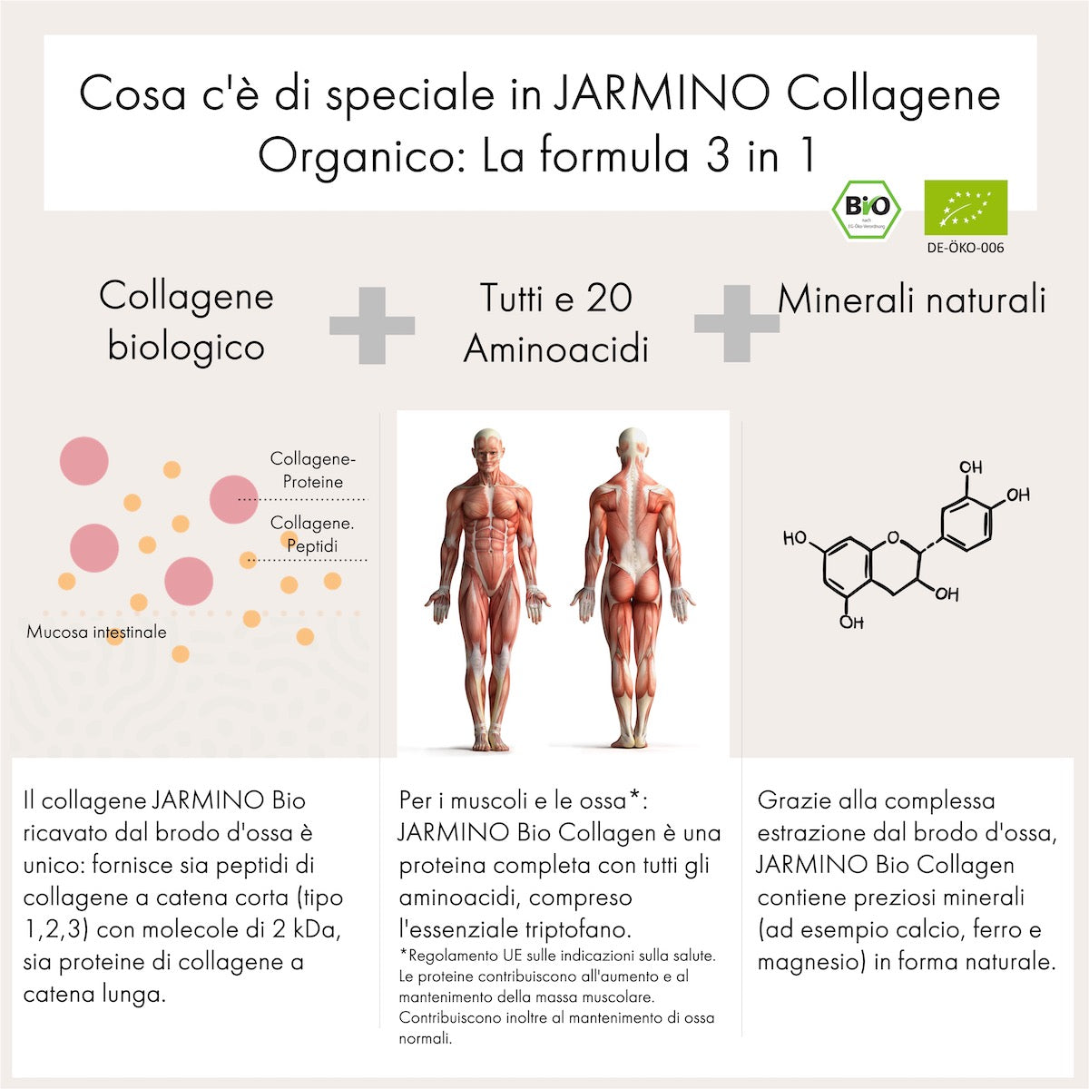 Collagene Organico (300g)