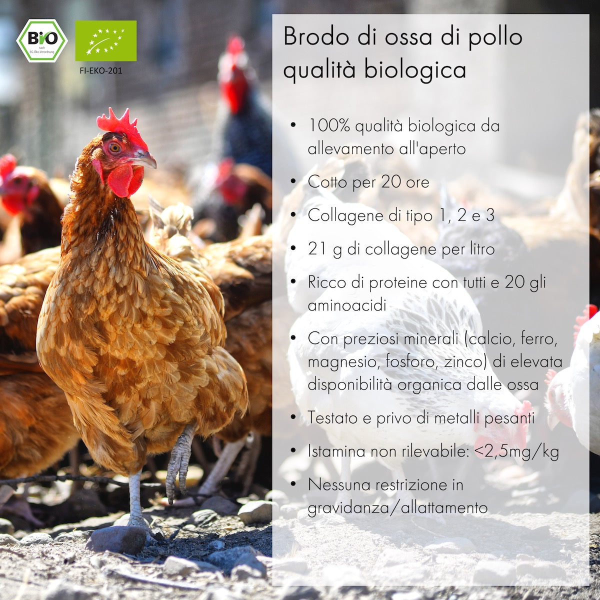 Brodo di ossa di pollo (1x 1L)