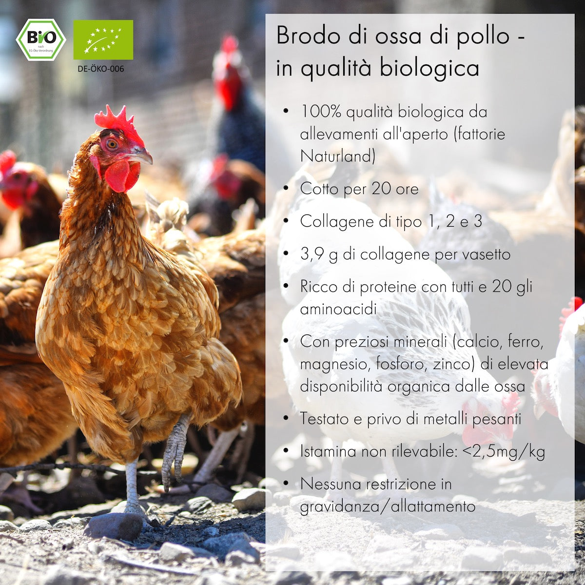 Brodo di ossa di pollo (6x 350ml)
